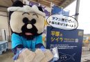 水族館とはまた違った感動を「ひらつかタマ三郎漁港」